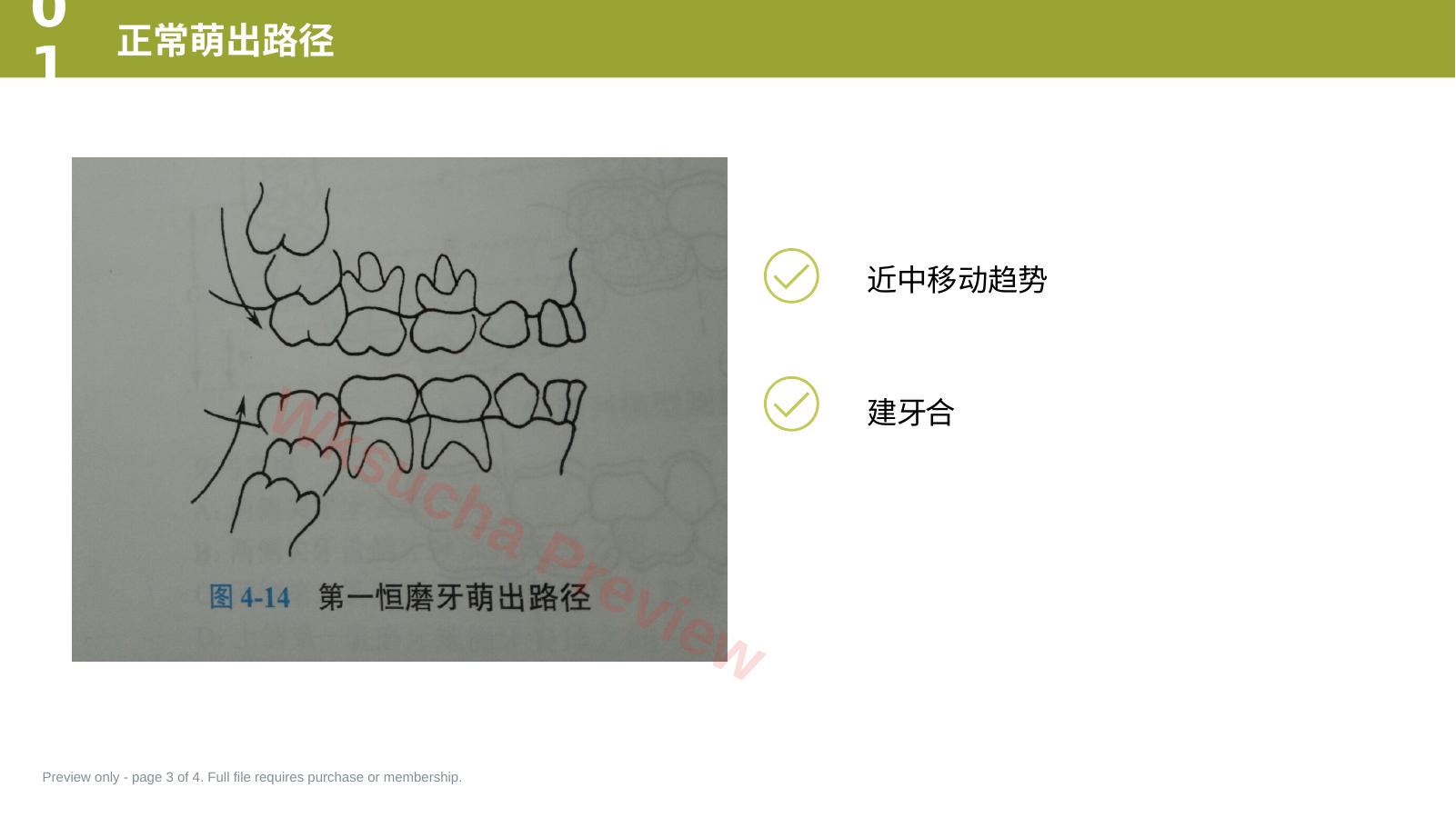 预览第 3 页
