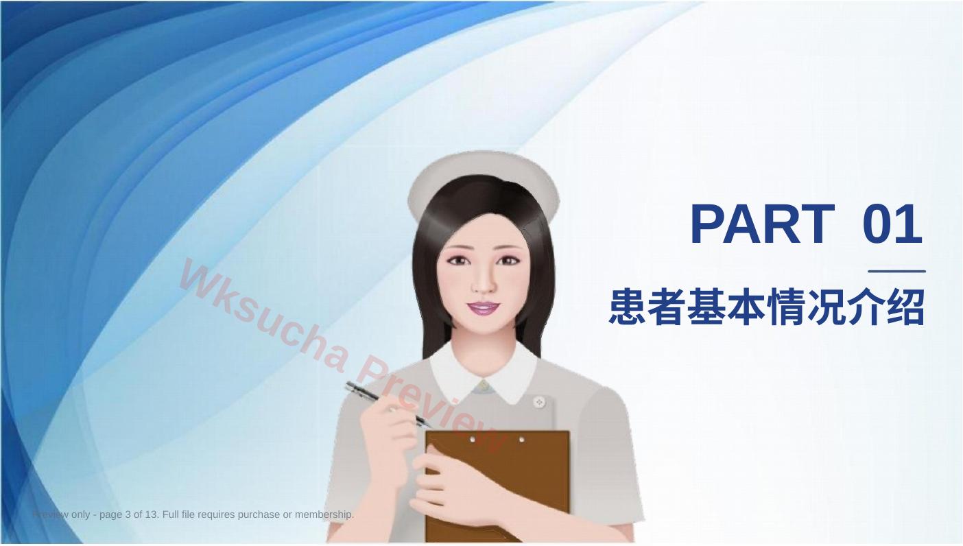 预览第 3 页