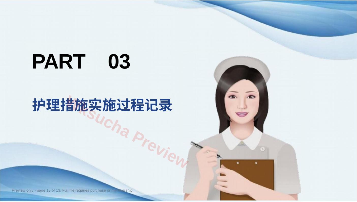 预览第 13 页