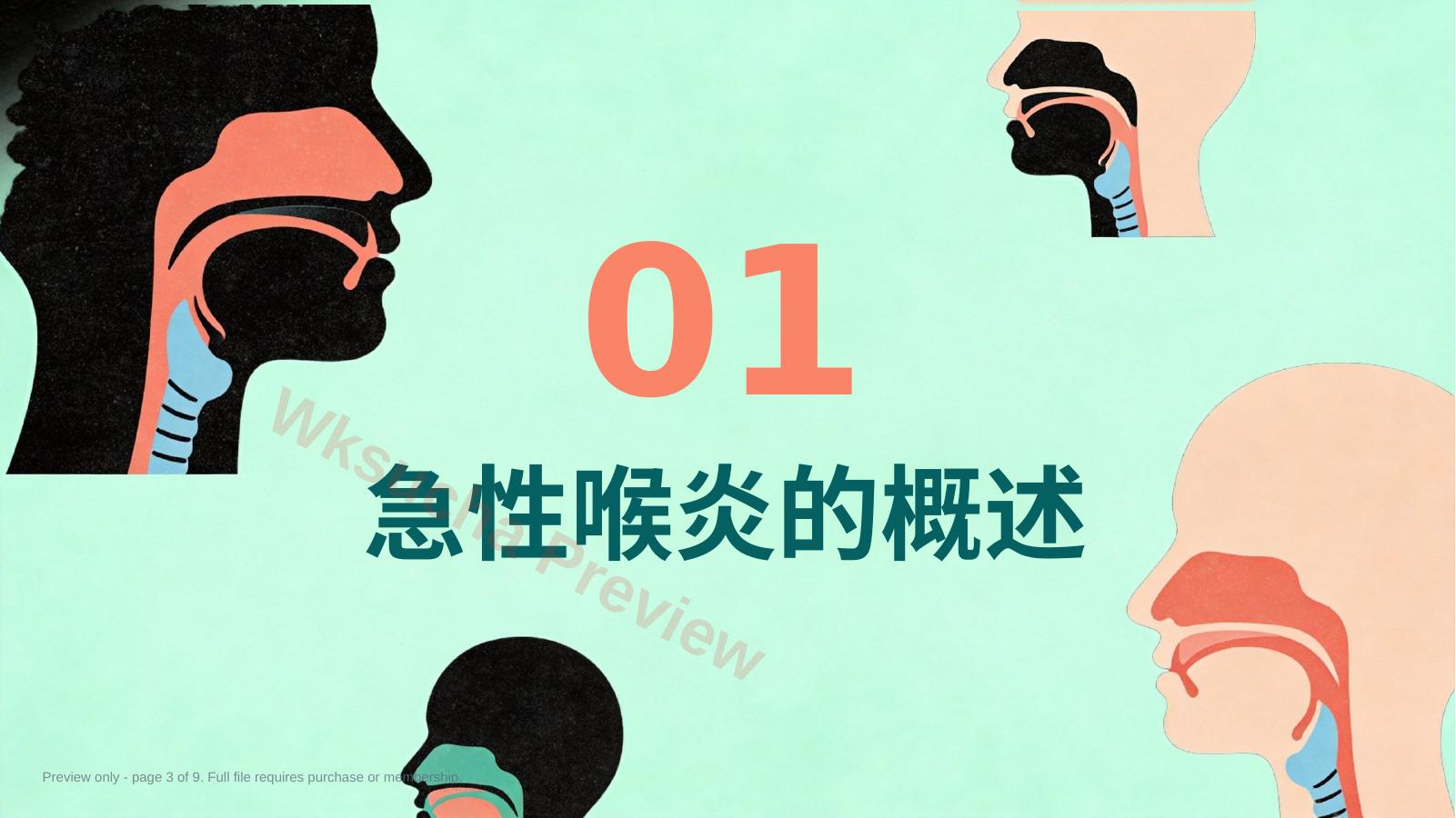 预览第 3 页