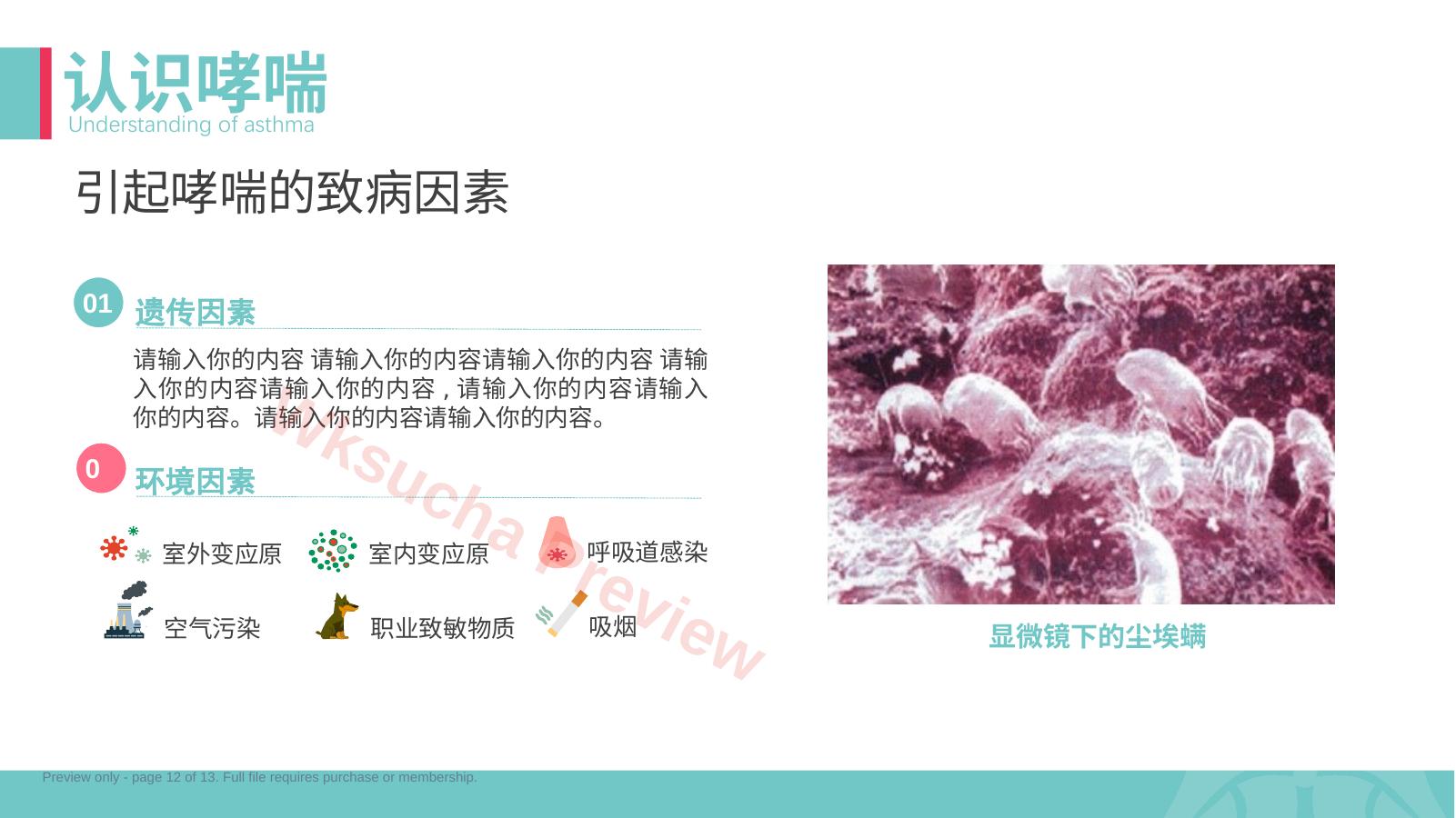 预览第 12 页