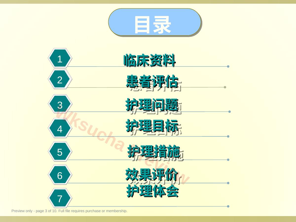 预览第 3 页