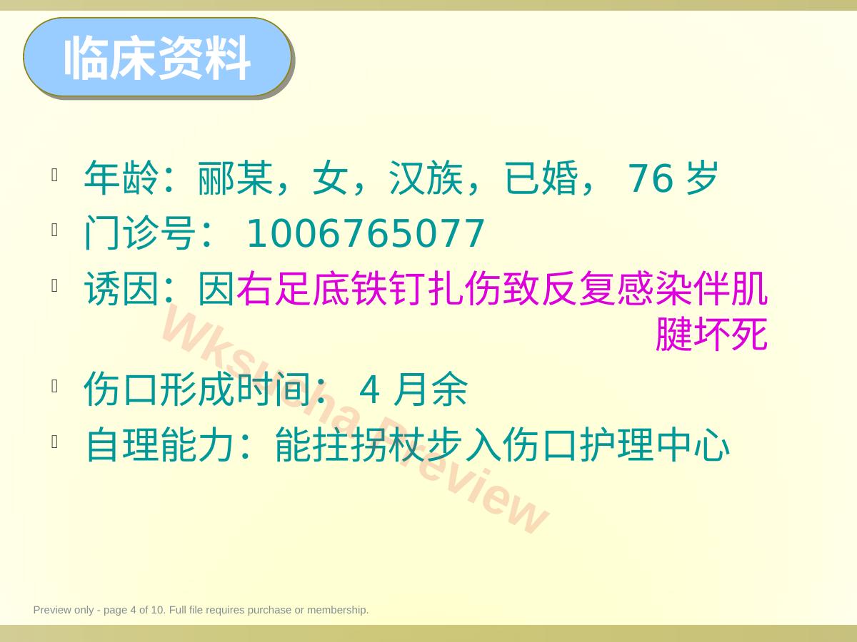 预览第 4 页