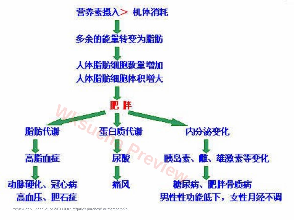 预览第 21 页