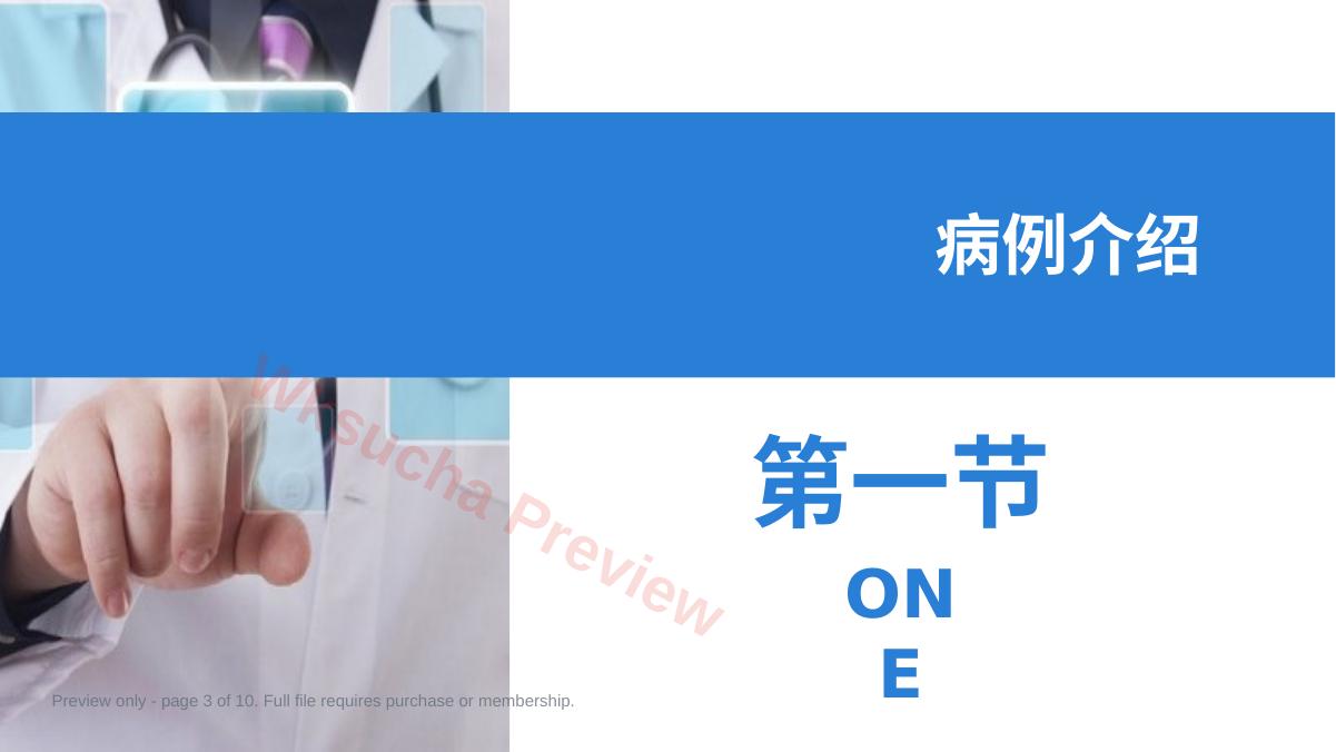 预览第 3 页