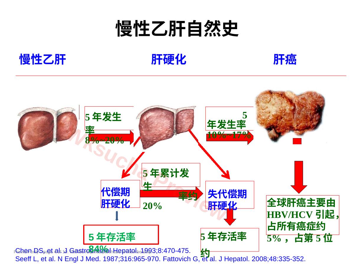 预览第 4 页