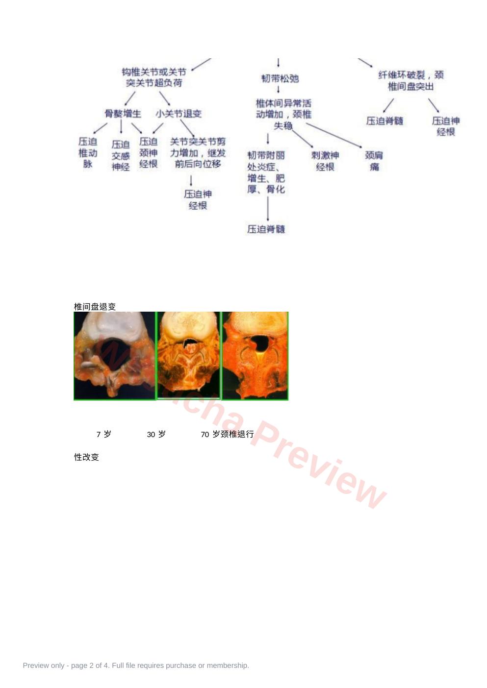 预览第 2 页