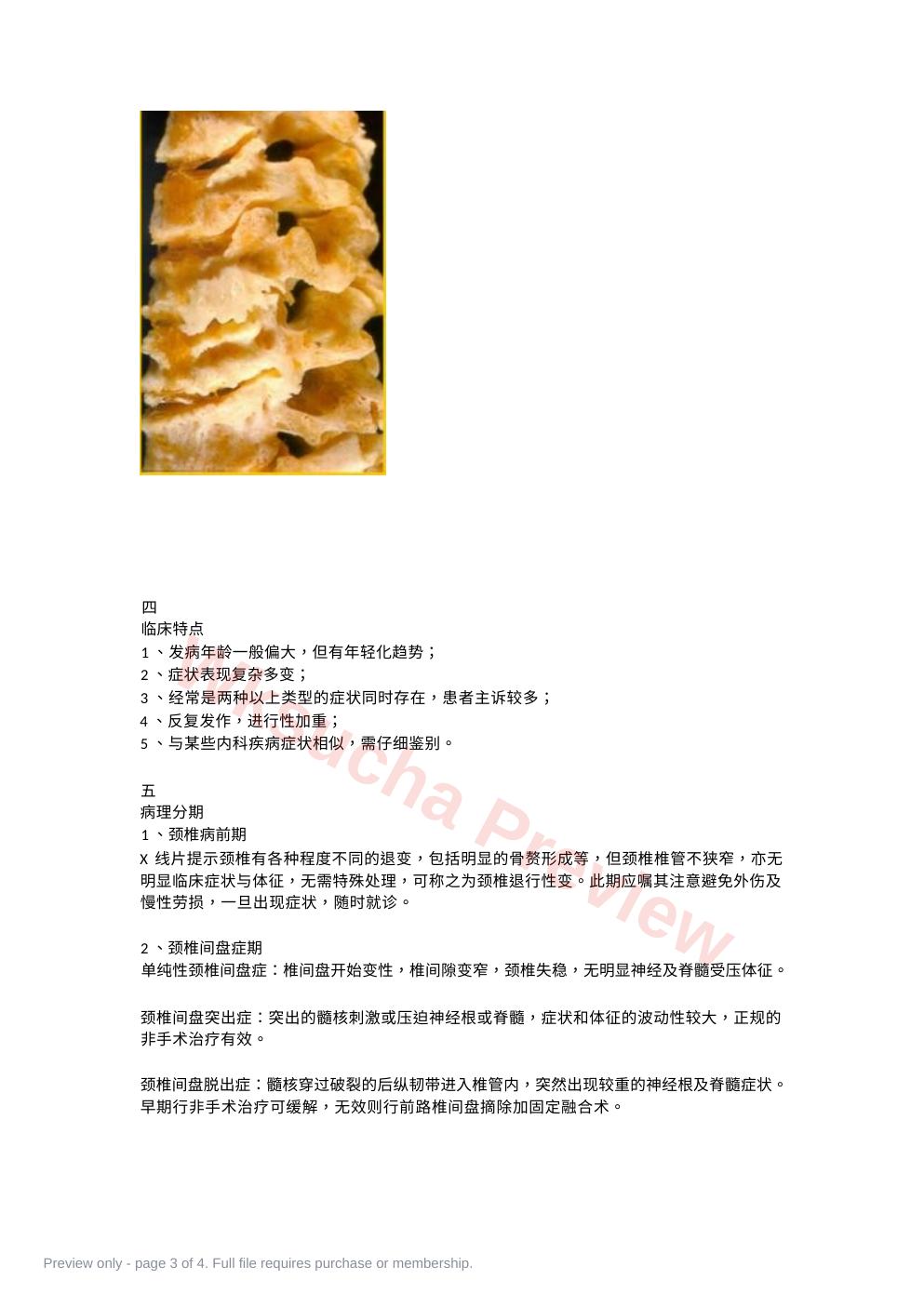 预览第 3 页
