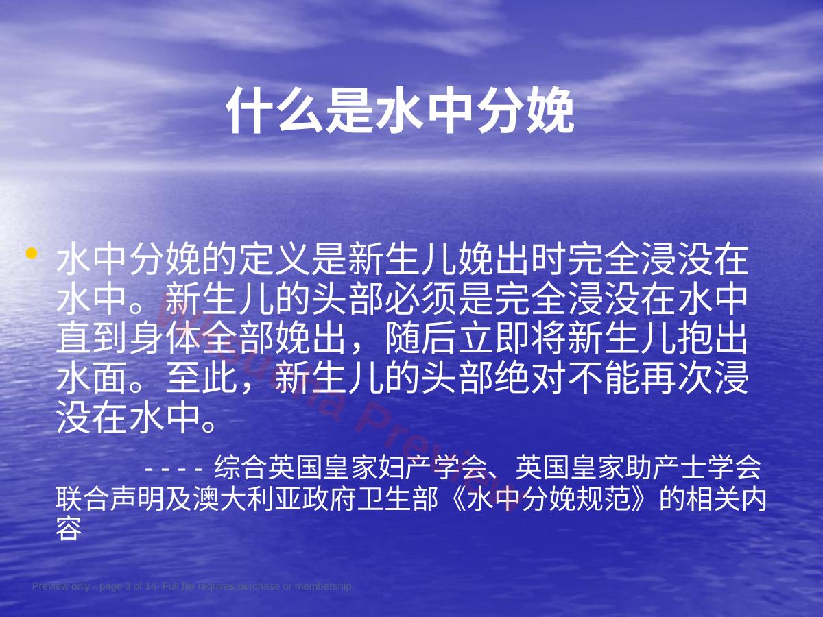 预览第 3 页