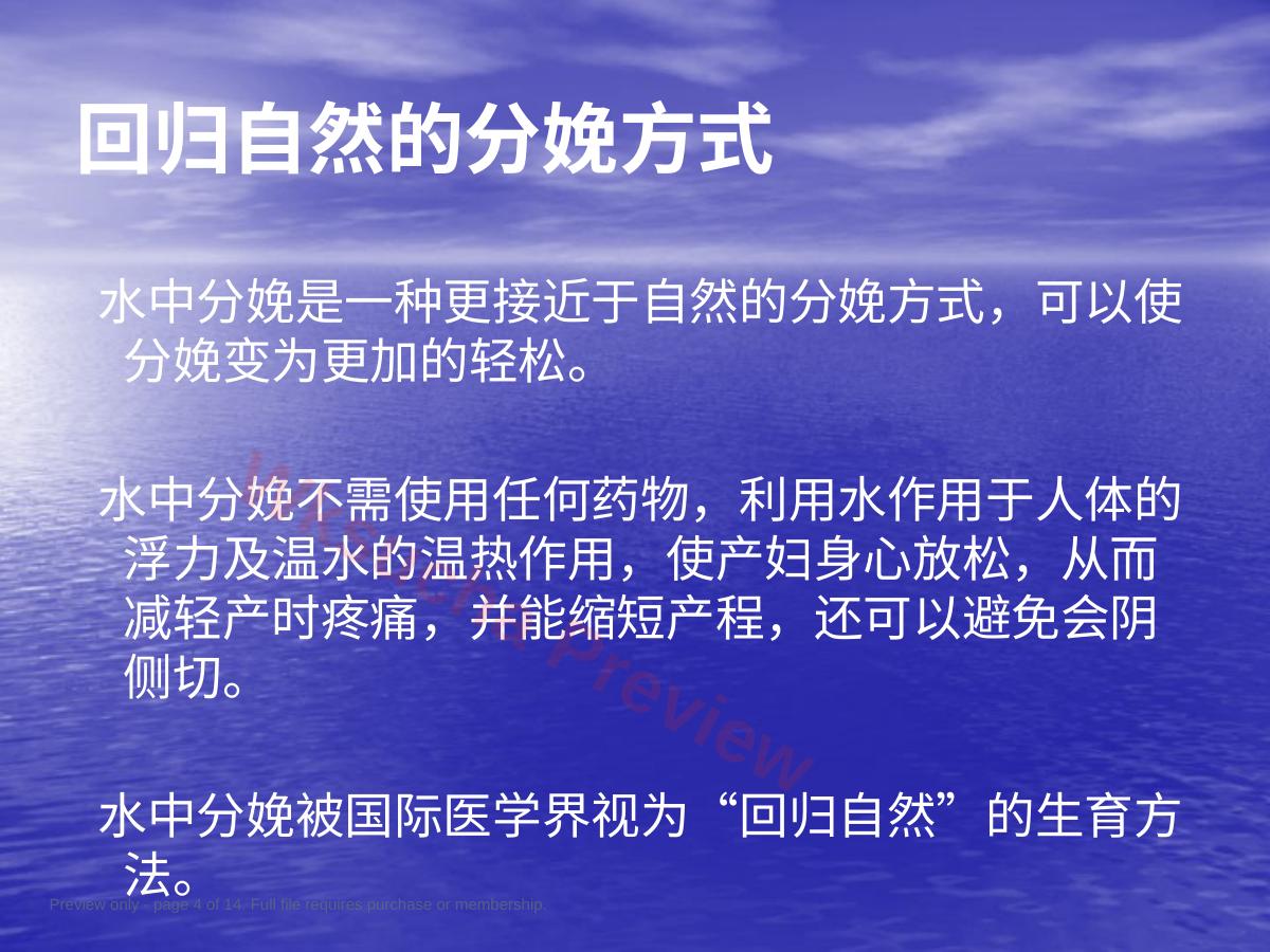 预览第 4 页