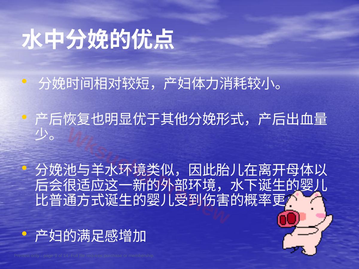 预览第 9 页
