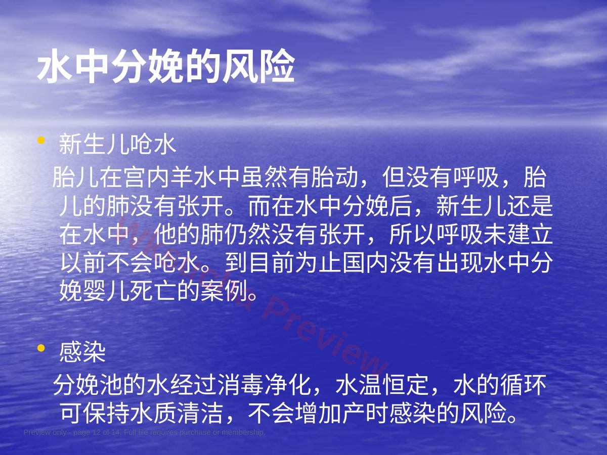 预览第 12 页