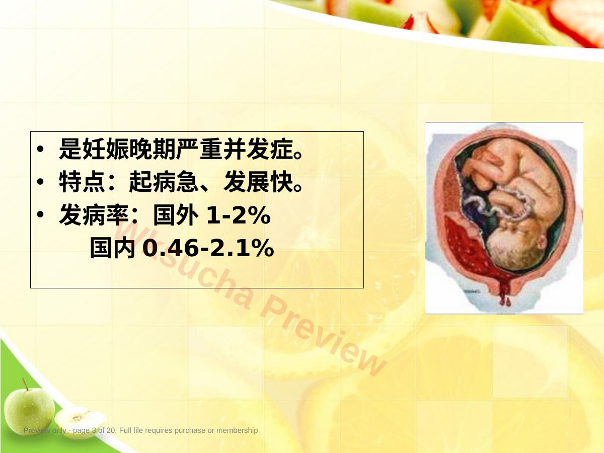 预览第 3 页