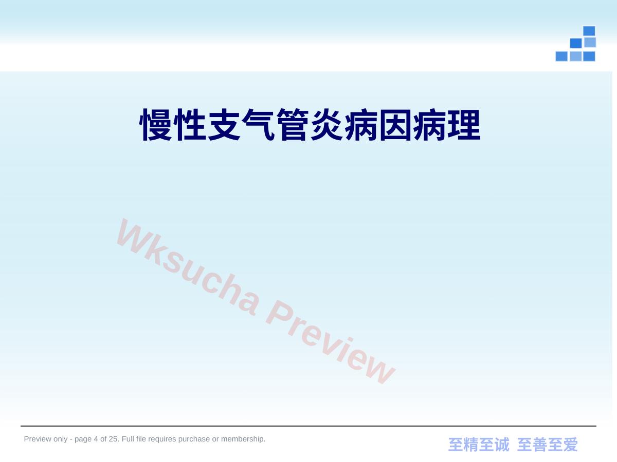 预览第 4 页