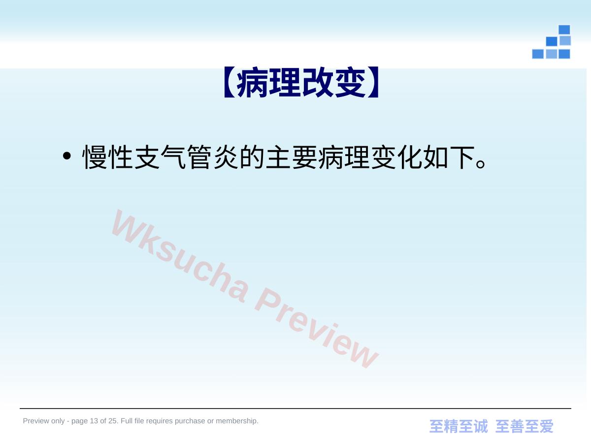 预览第 13 页