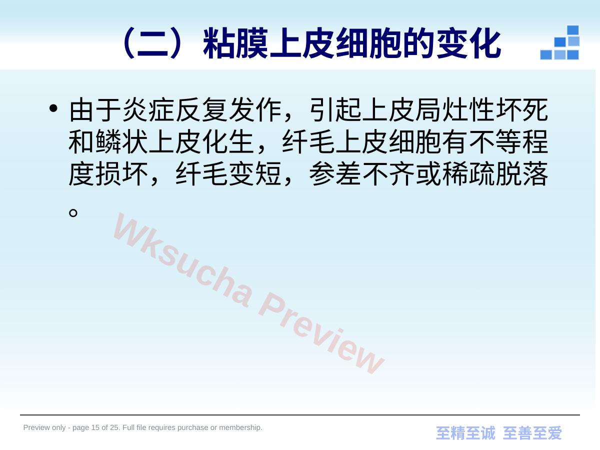 预览第 15 页