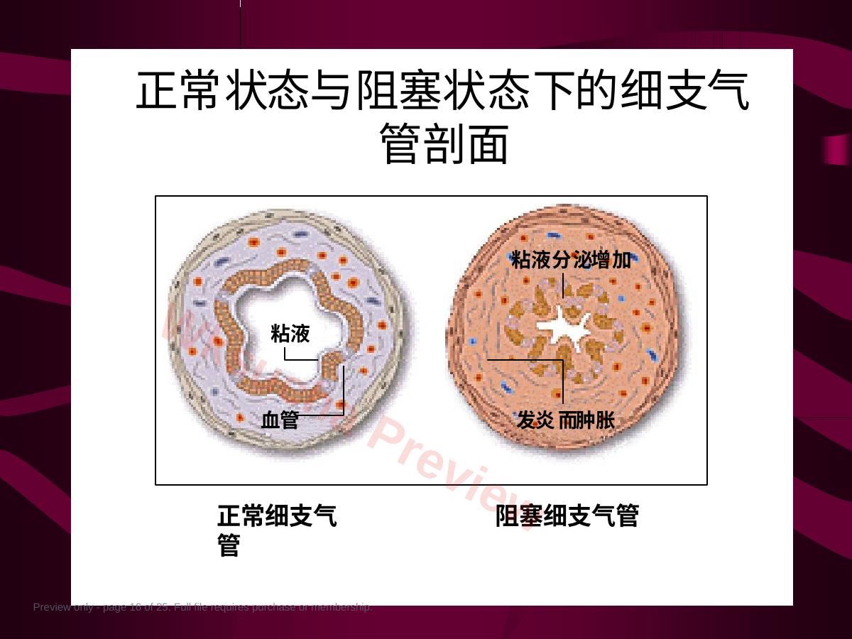 预览第 16 页