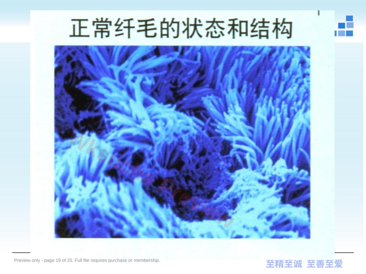 预览第 19 页