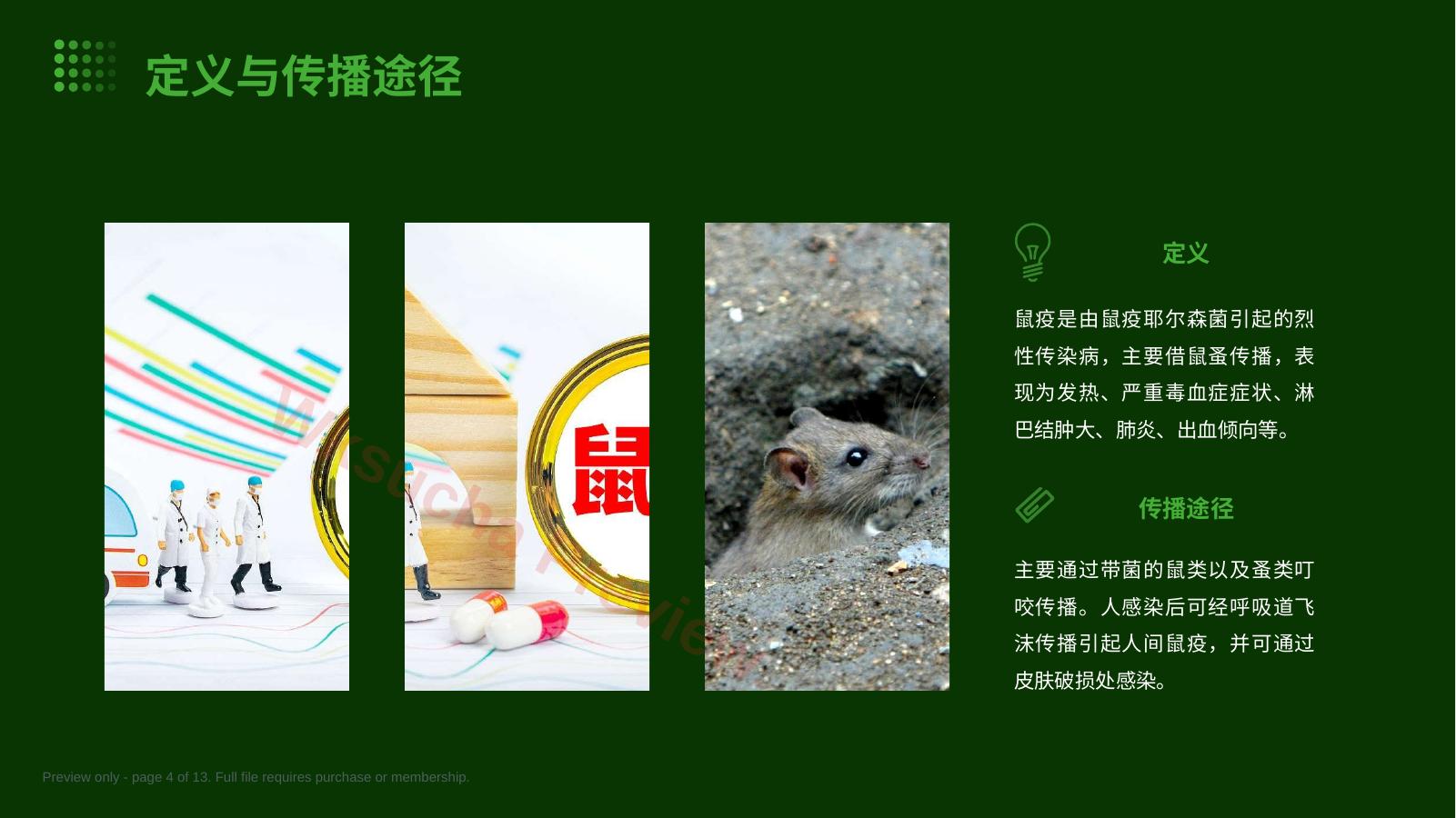 预览第 4 页