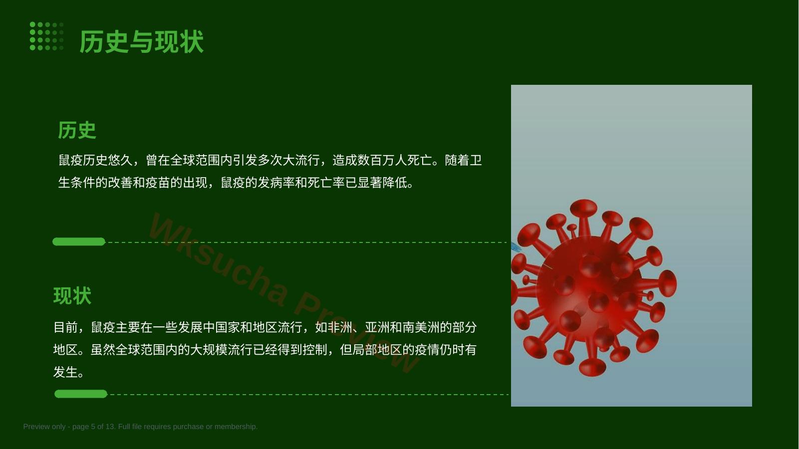 预览第 5 页