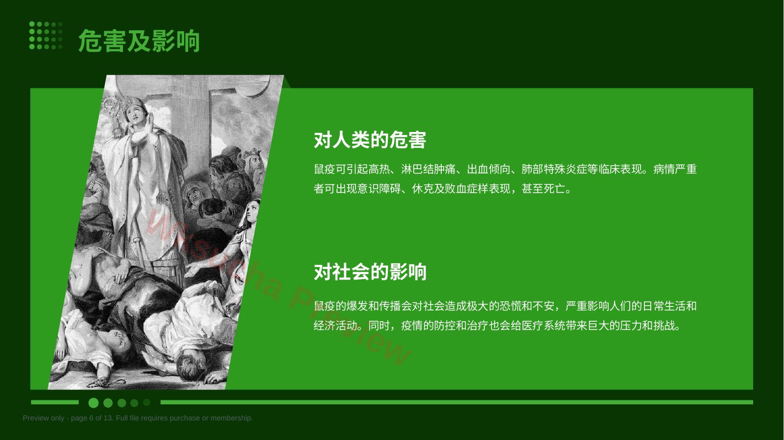 预览第 6 页