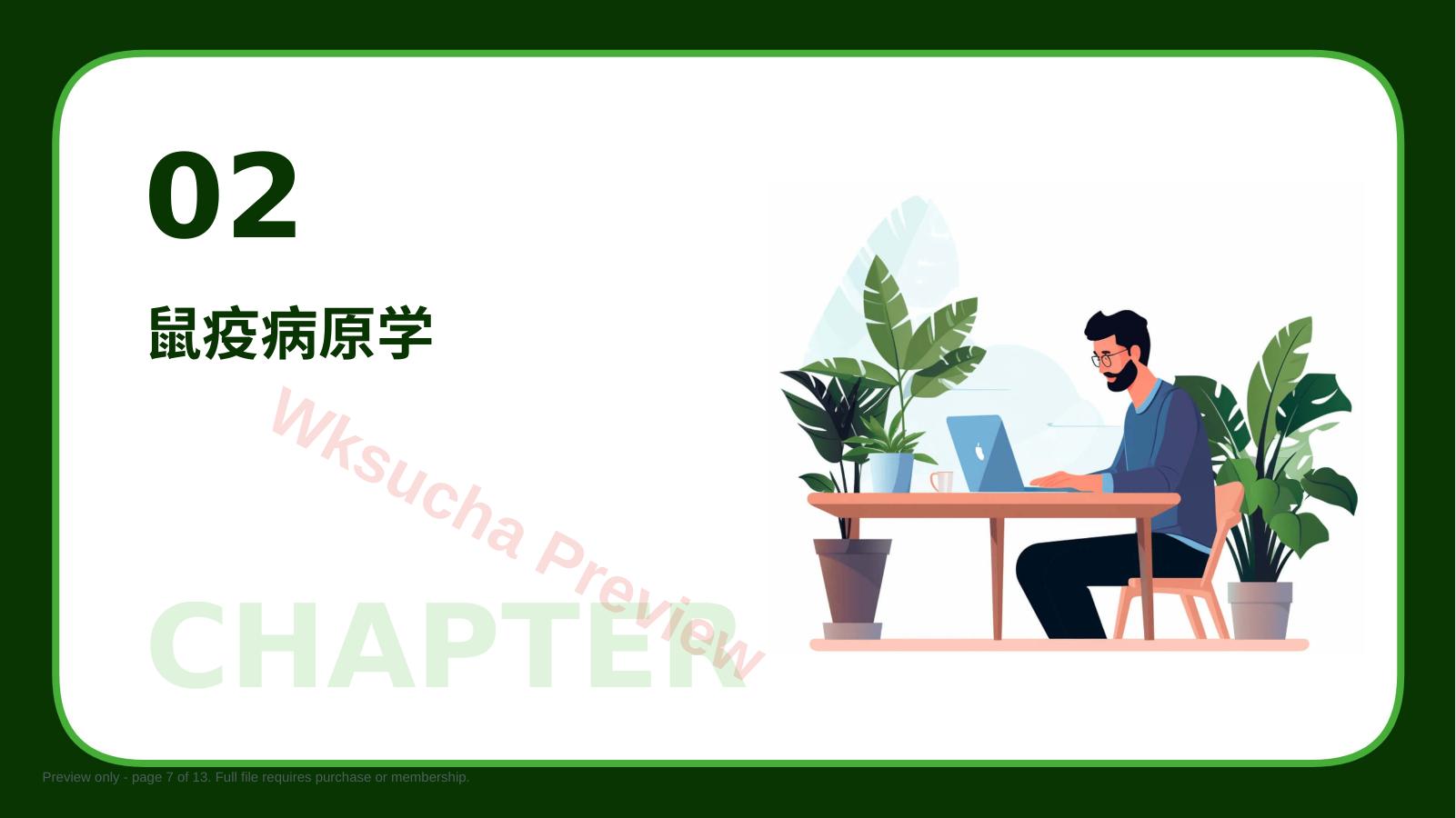 预览第 7 页