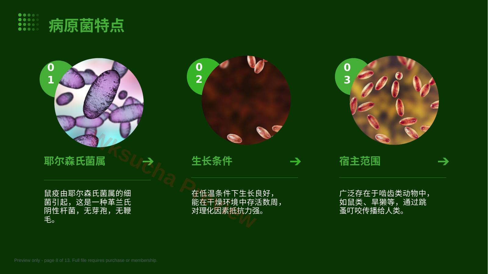 预览第 8 页
