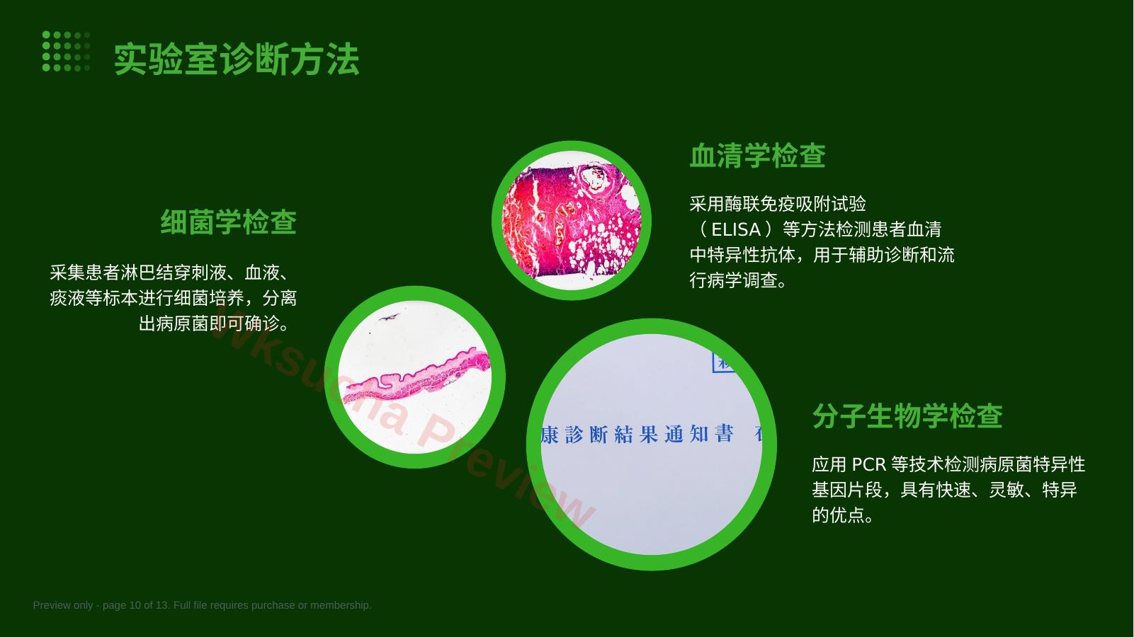 预览第 10 页