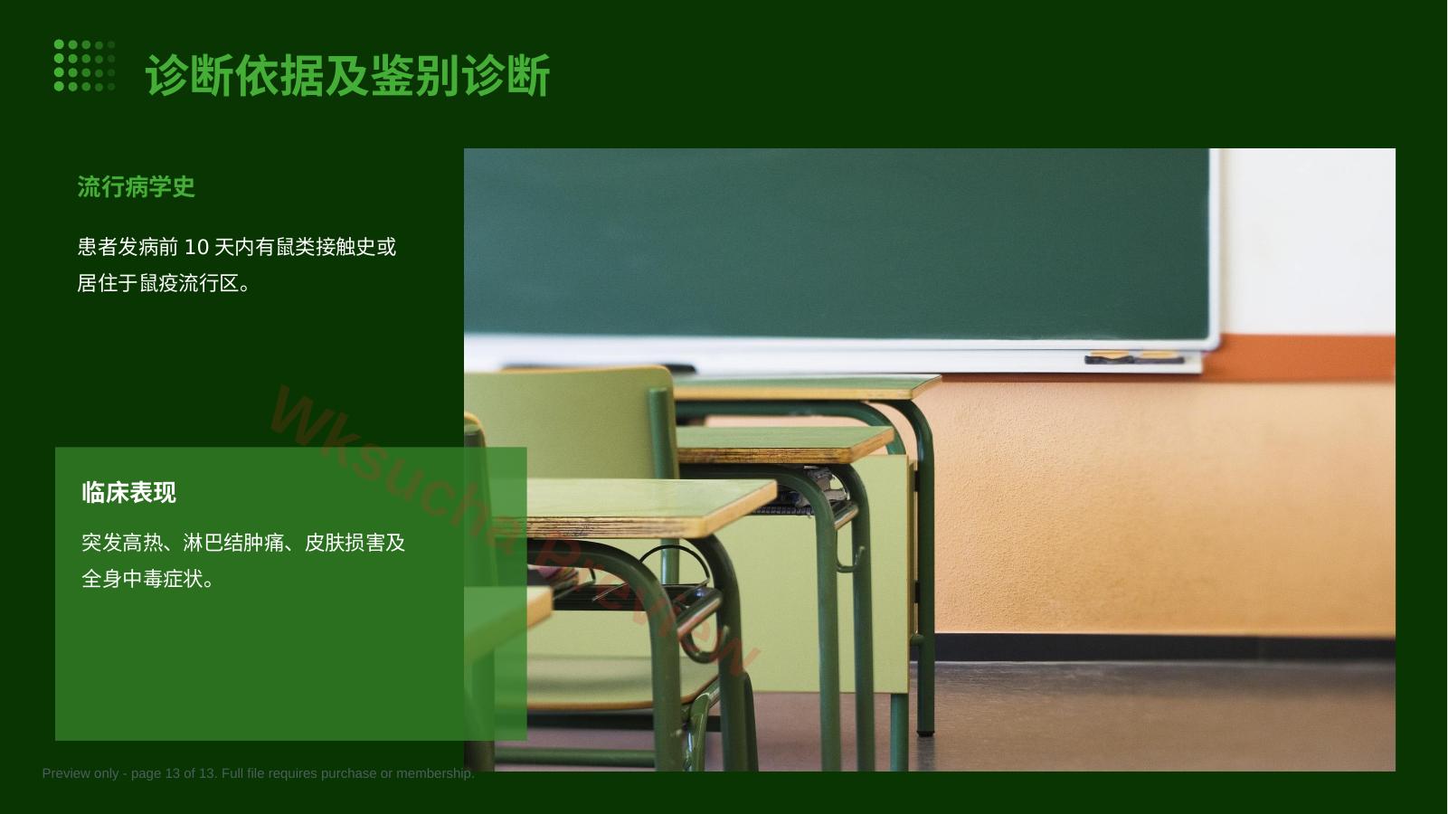 预览第 13 页