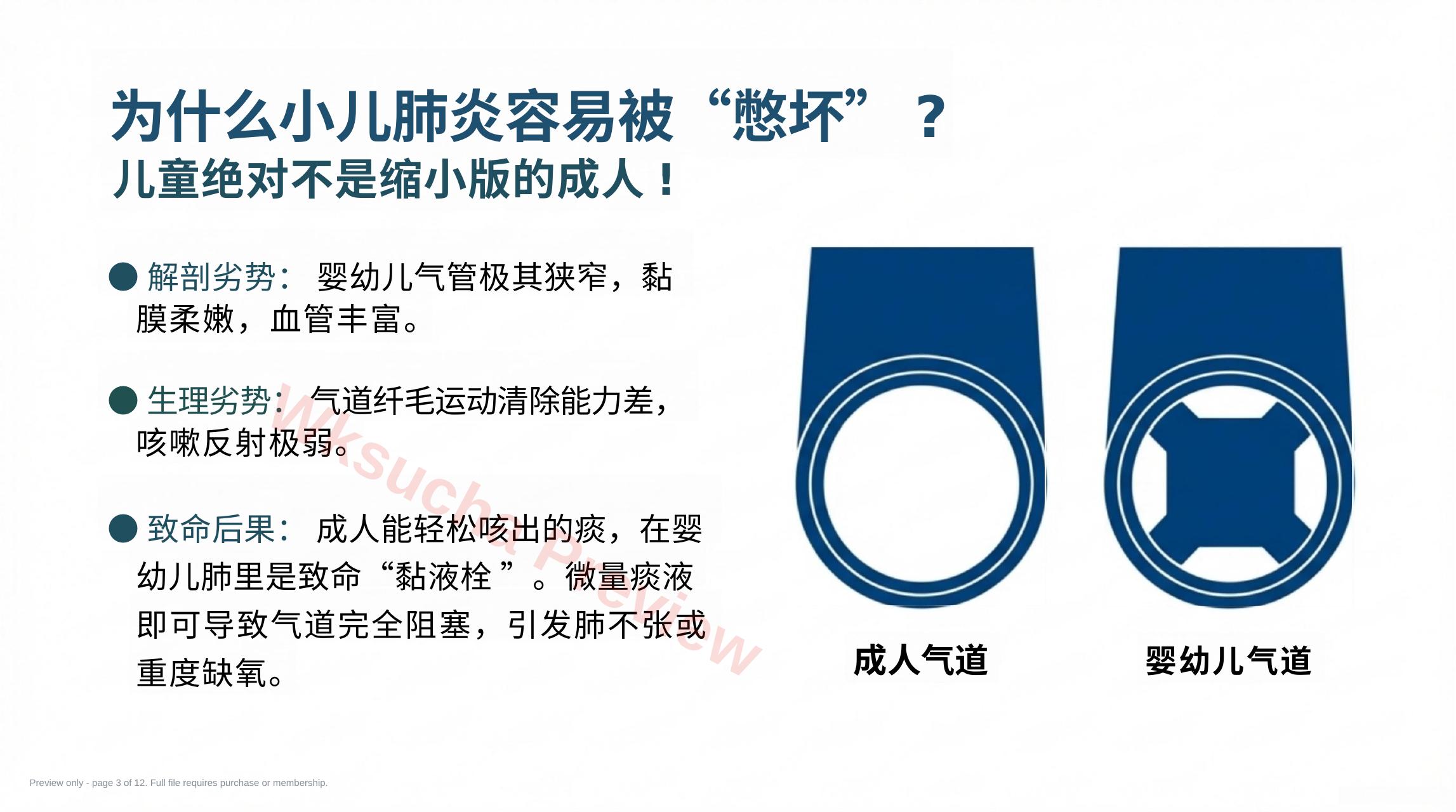 预览第 3 页