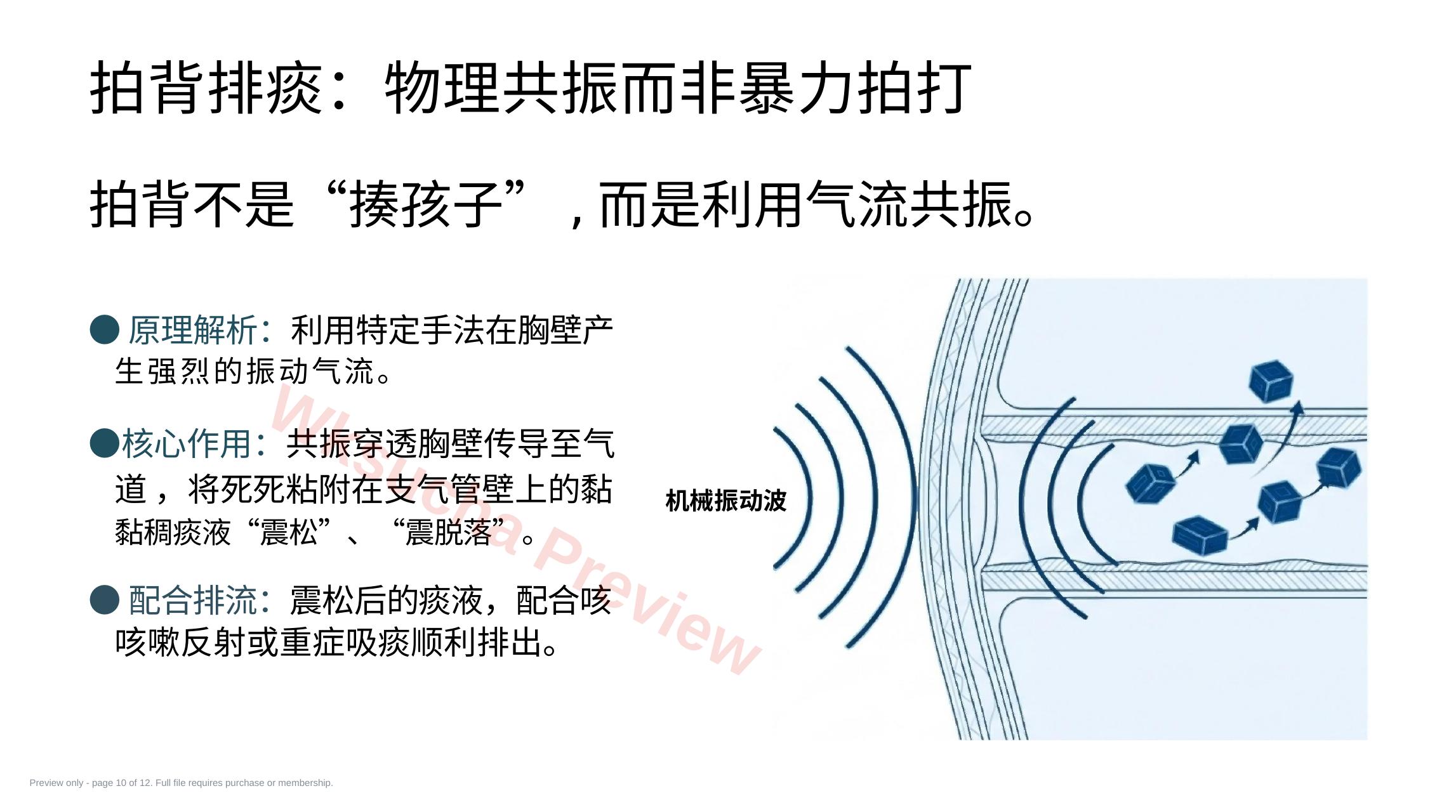 预览第 10 页