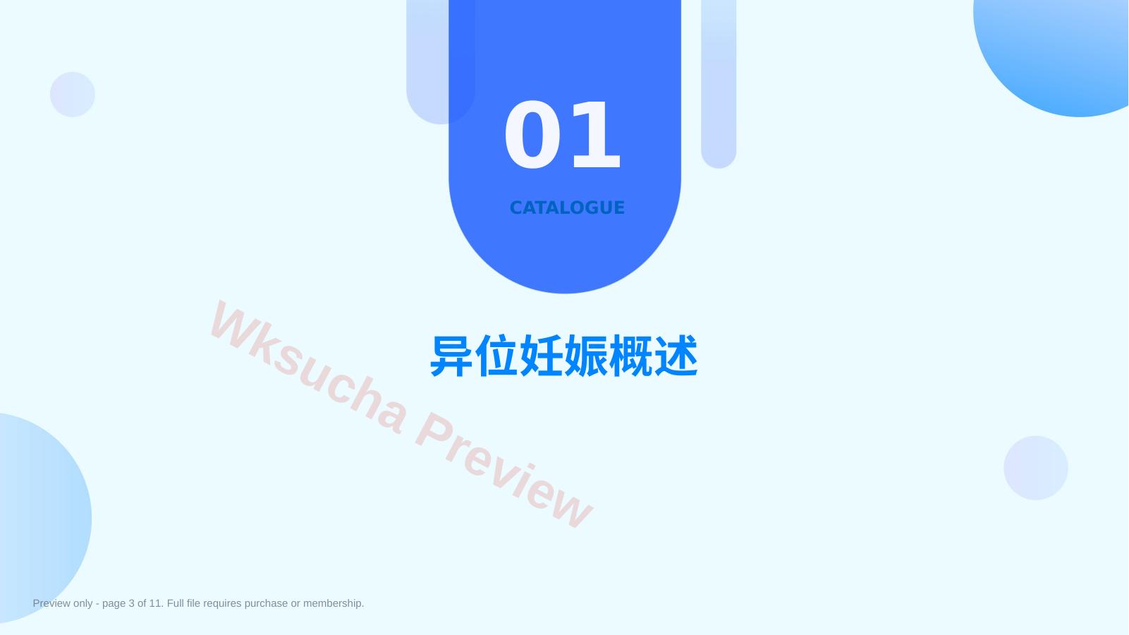 预览第 3 页