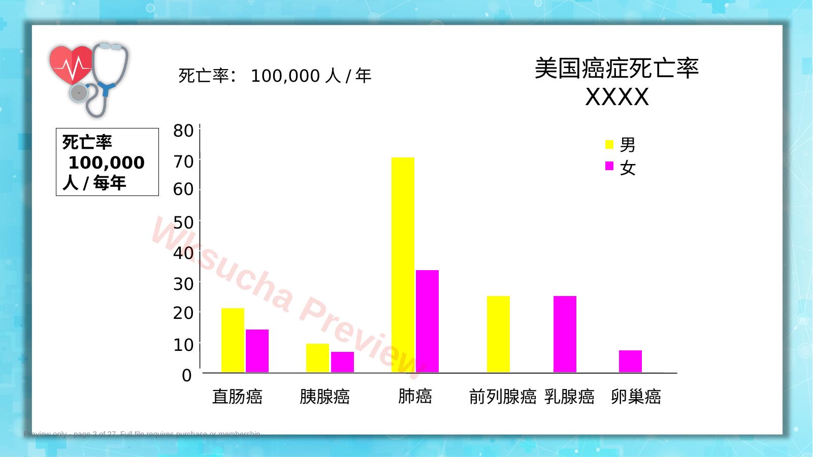 预览第 3 页