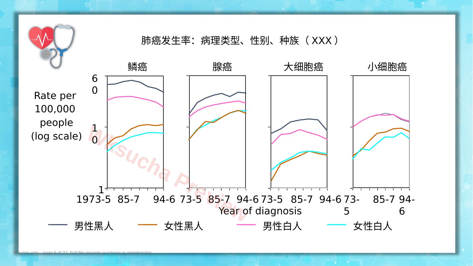 预览第 5 页