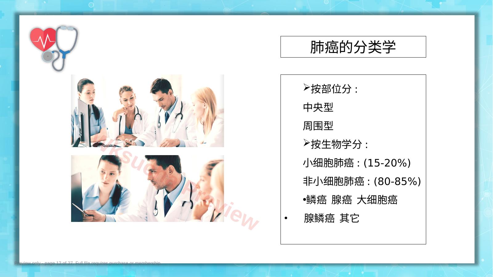 预览第 12 页