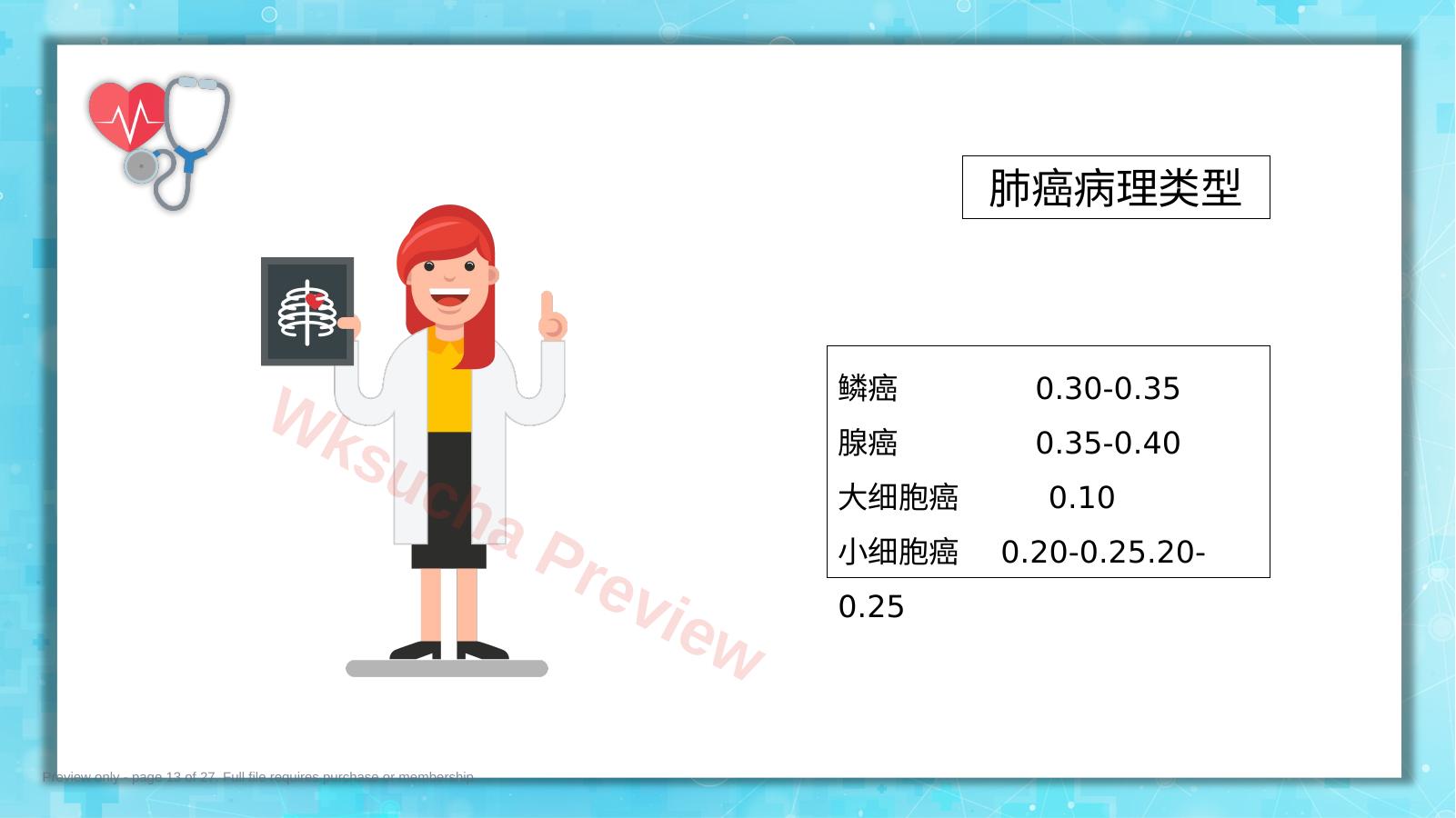 预览第 13 页