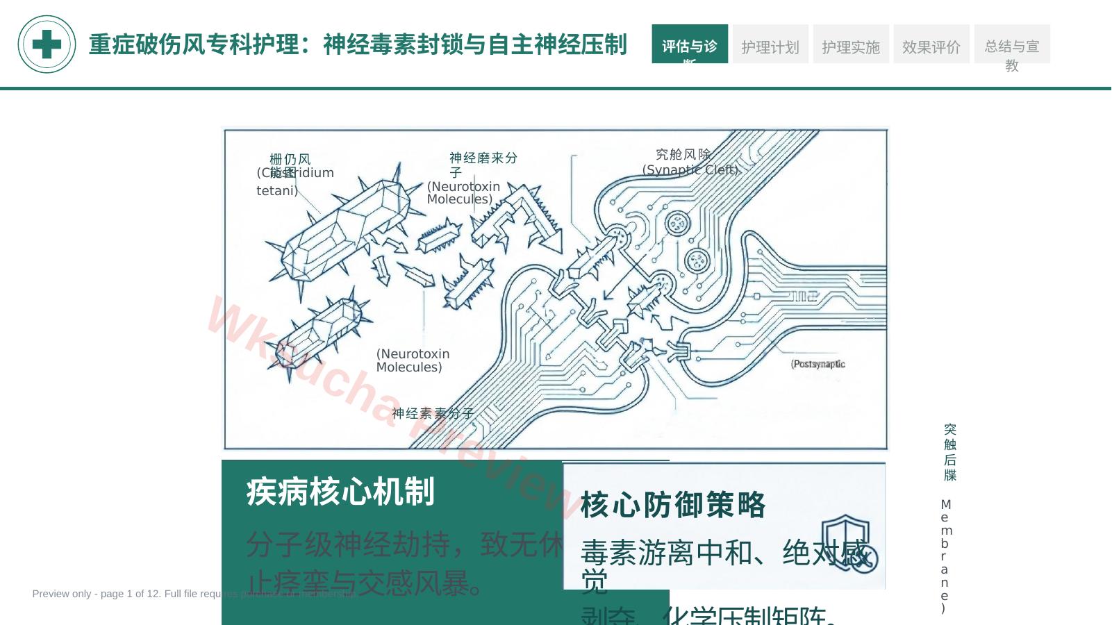 重症破伤风护理查房 绿色医疗版