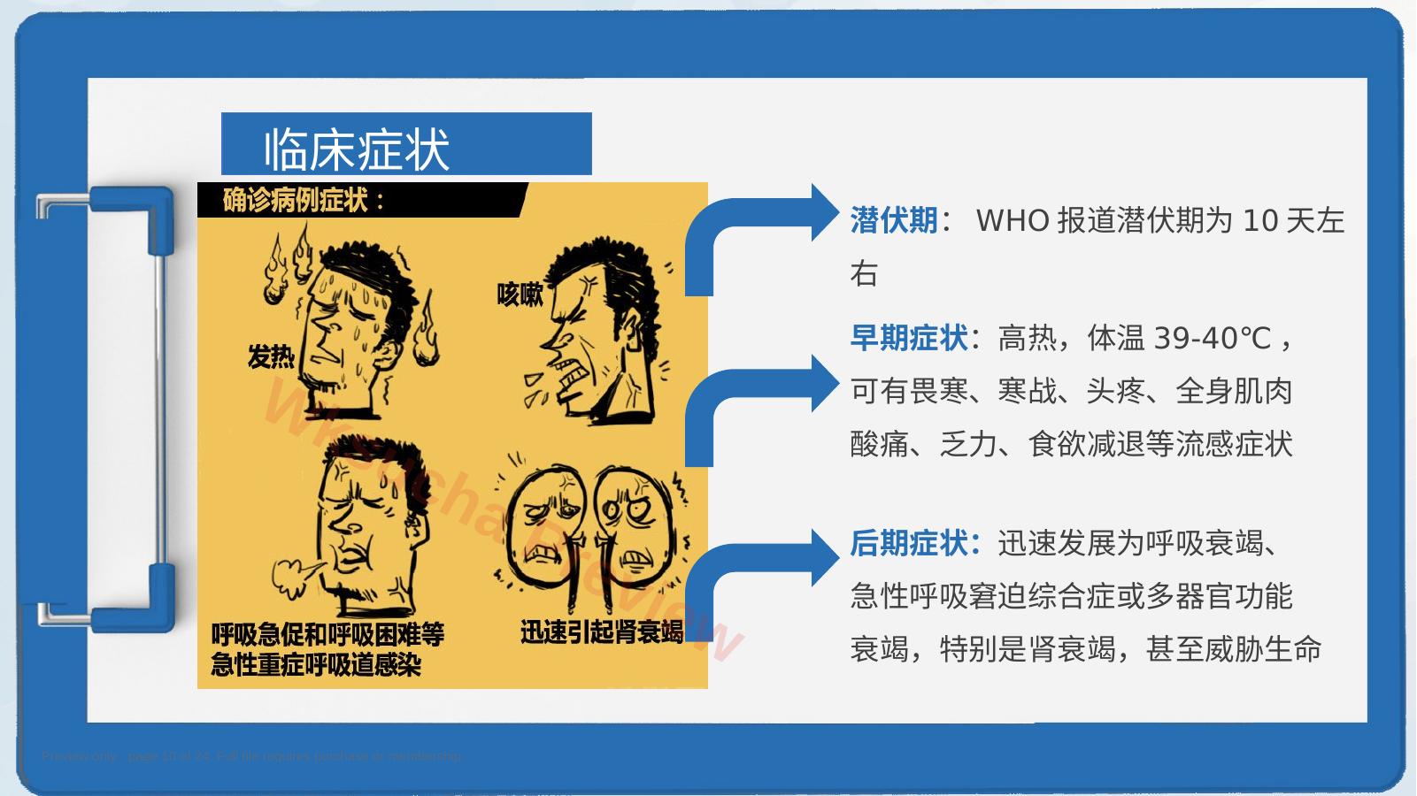 预览第 10 页