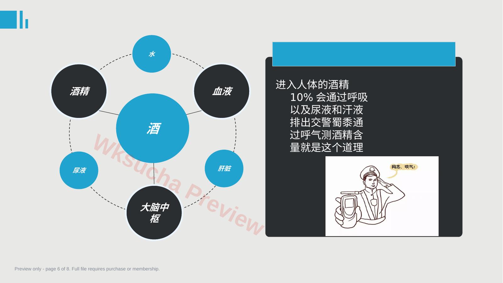预览第 6 页