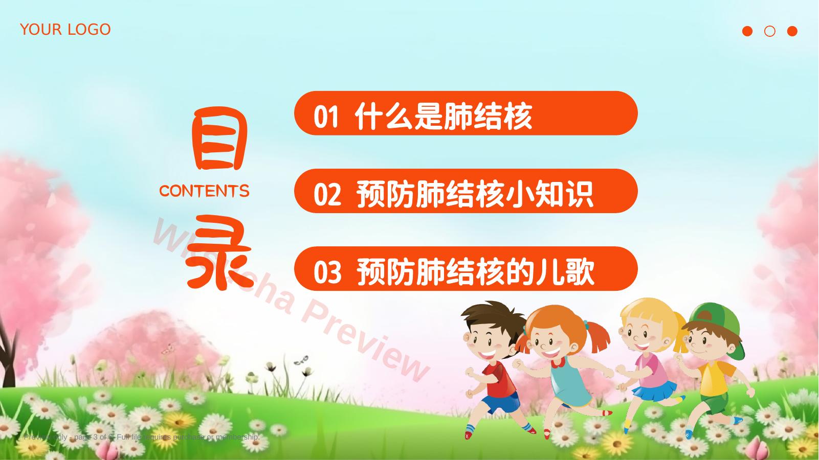 预览第 3 页