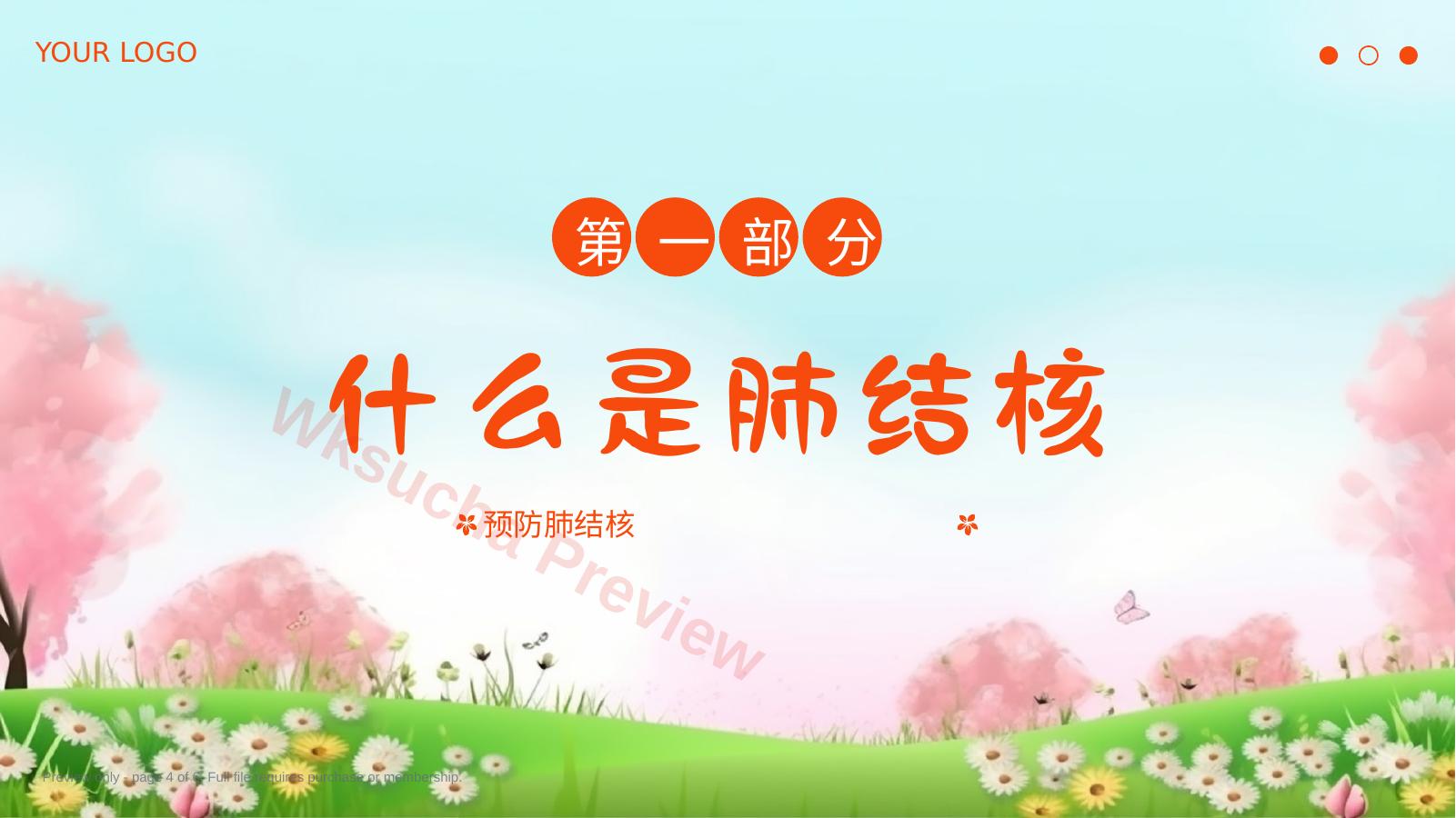 预览第 4 页