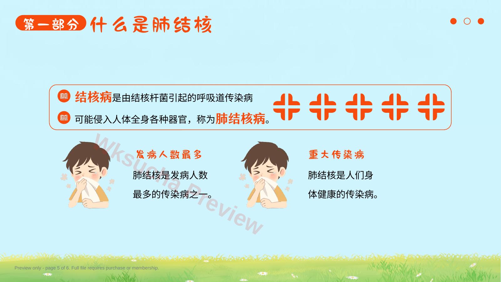预览第 5 页