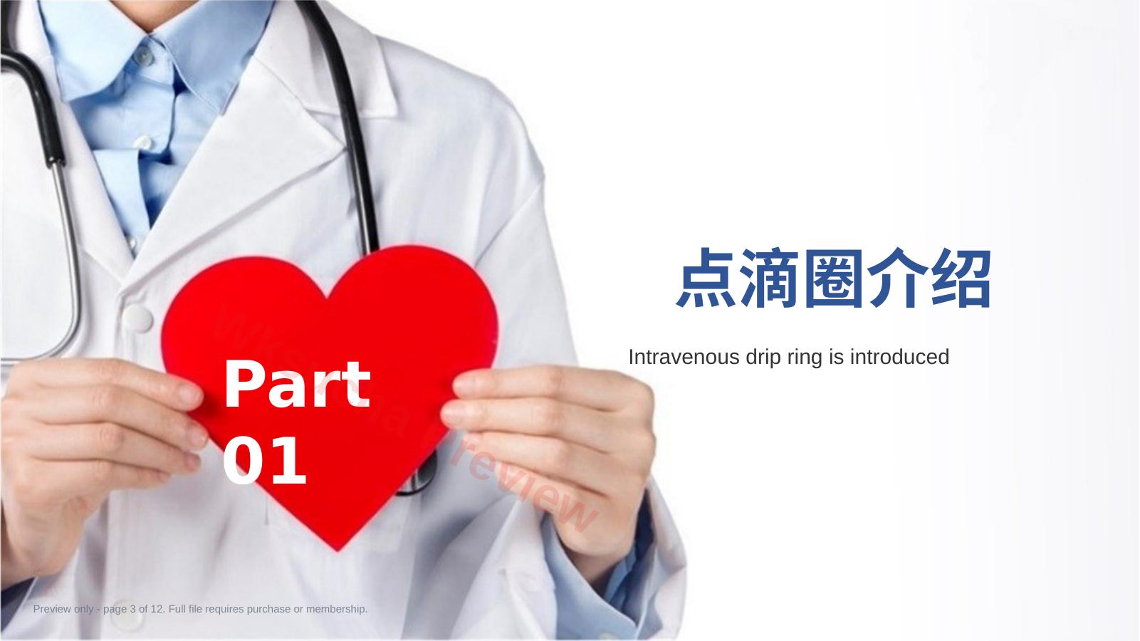 预览第 3 页
