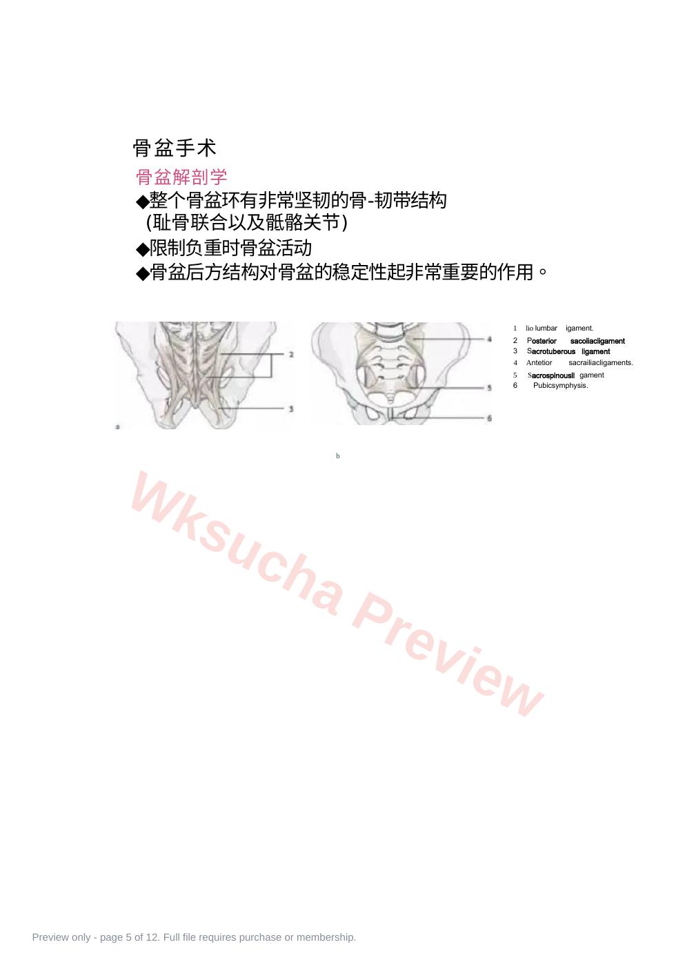 预览第 5 页