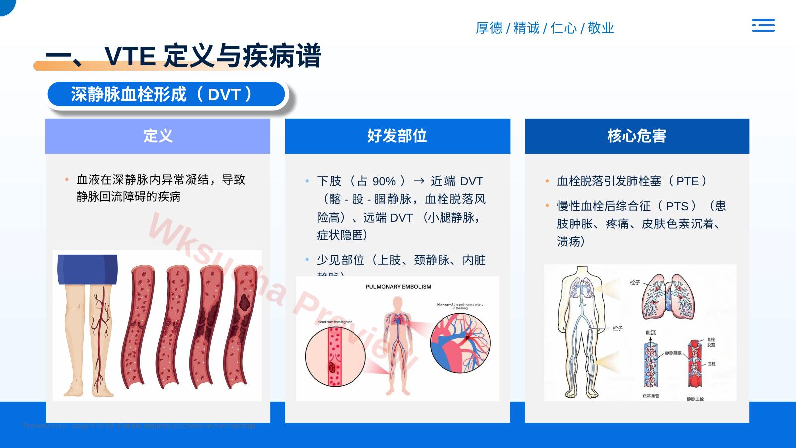 预览第 4 页