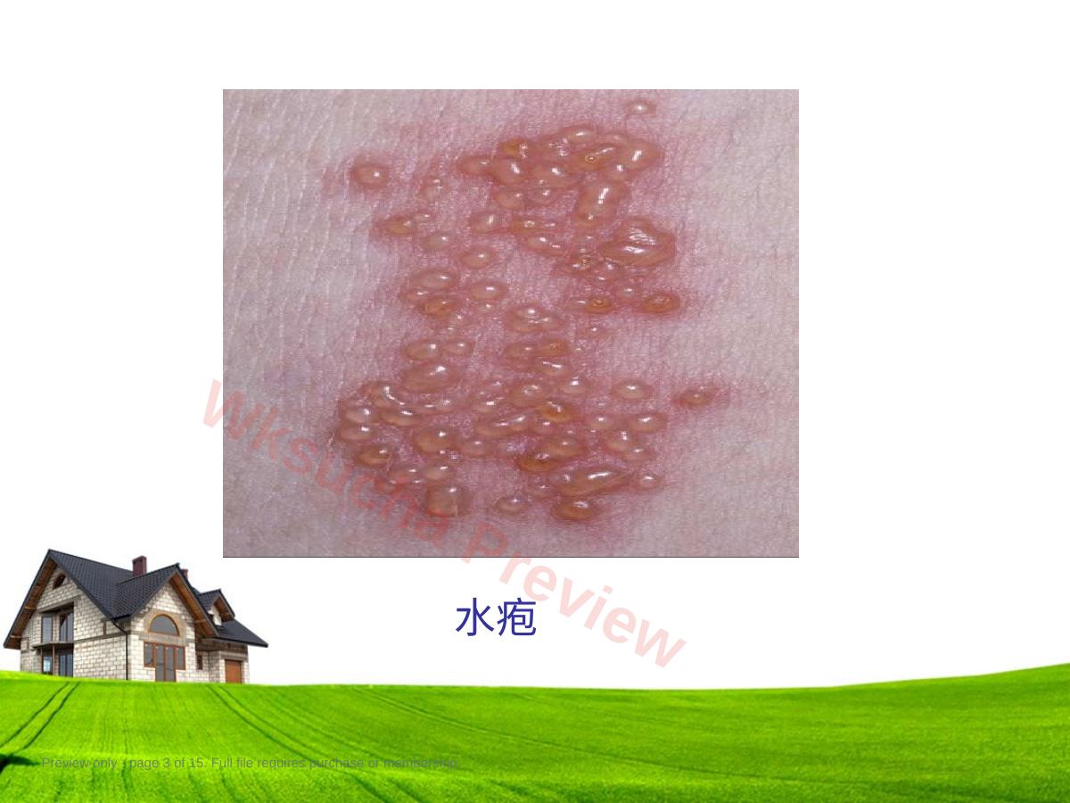 预览第 3 页
