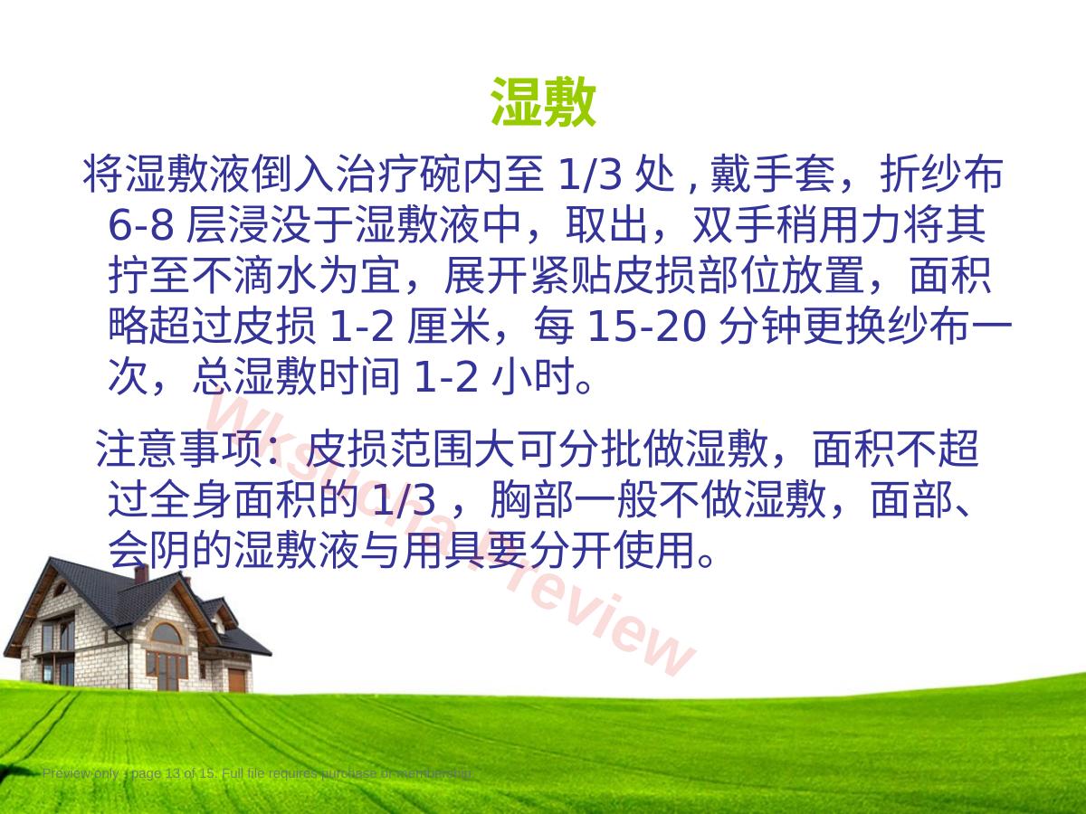 预览第 13 页