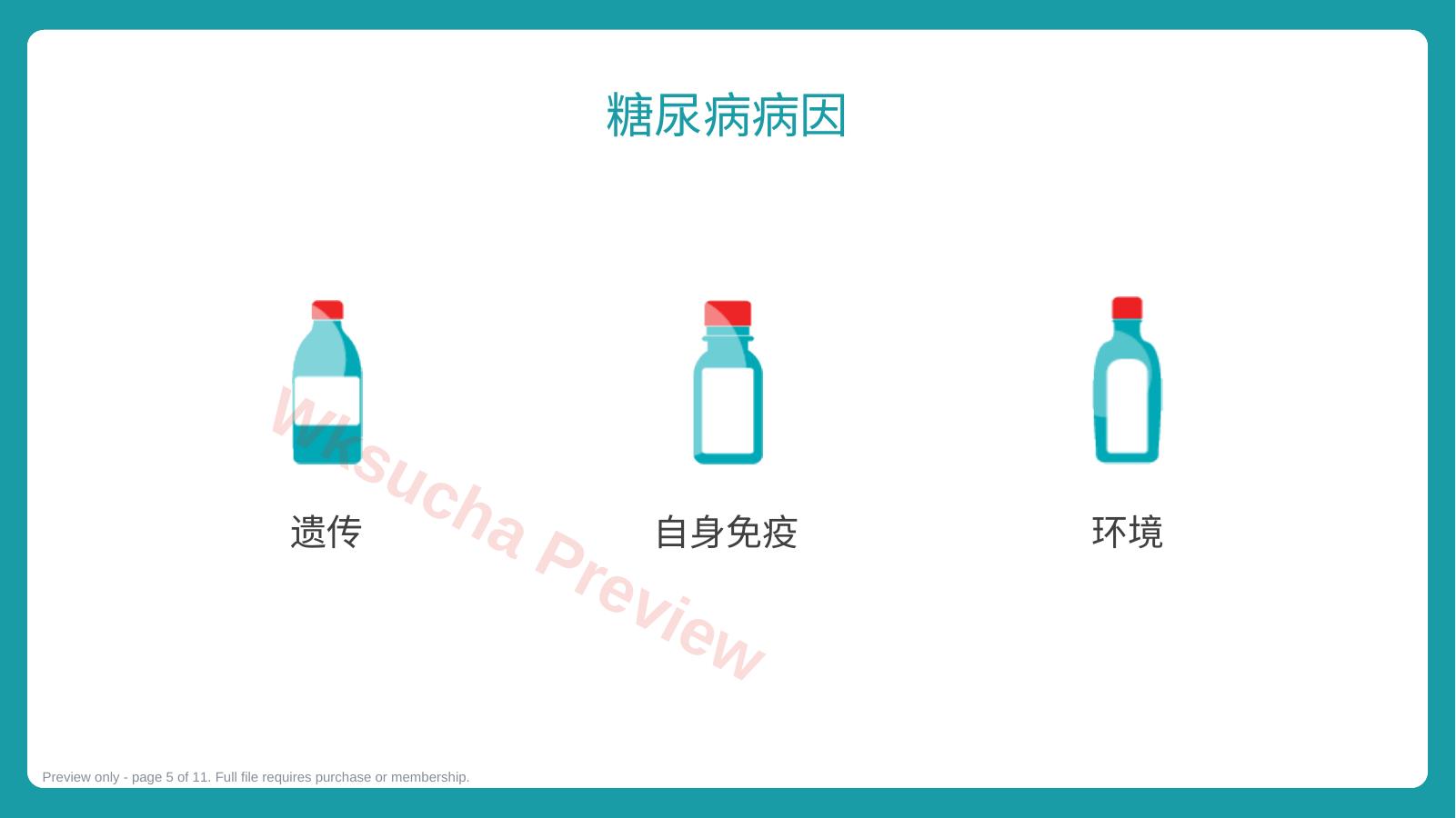 预览第 5 页