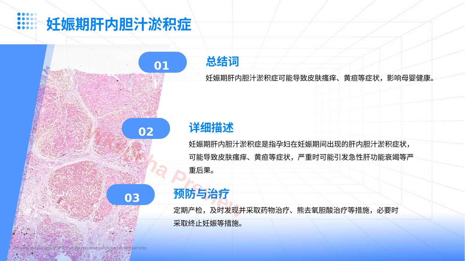 预览第 9 页