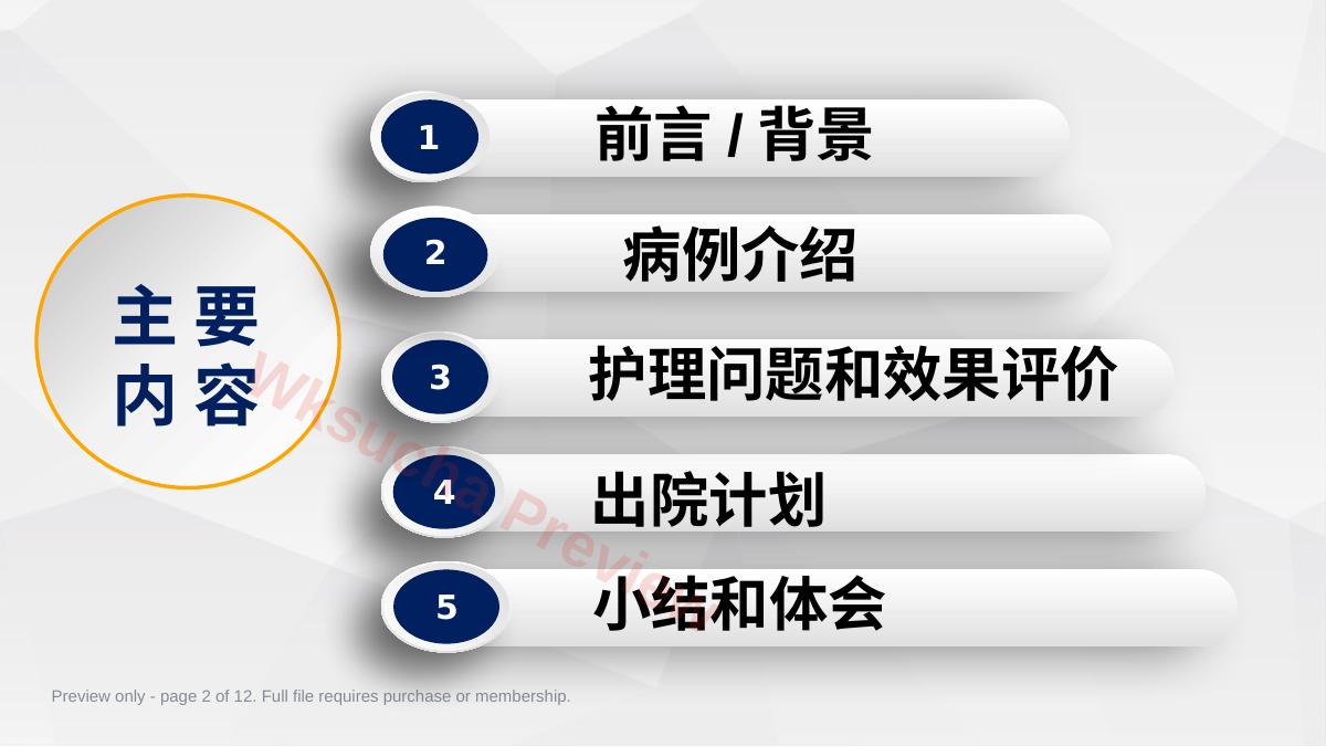 预览第 2 页